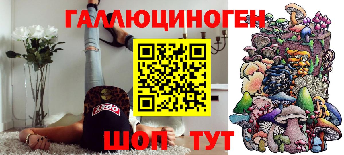 Псилоцибиновые грибы Psilocybine cubensis Казань